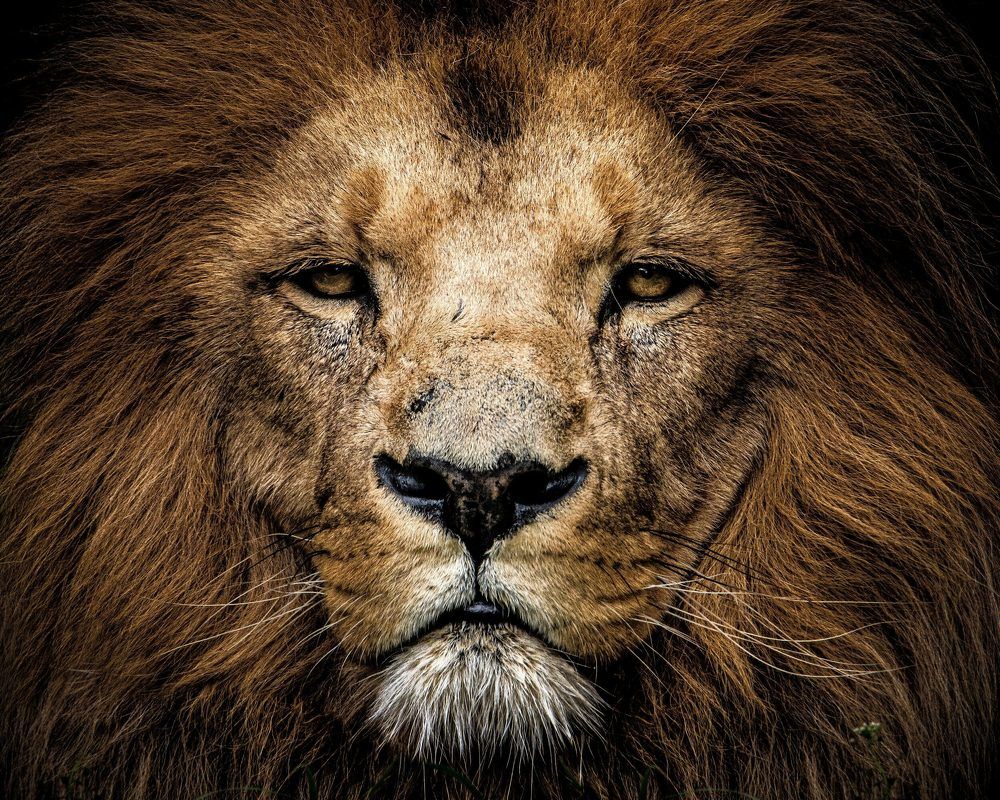 Photograph by Paweł Bykowski