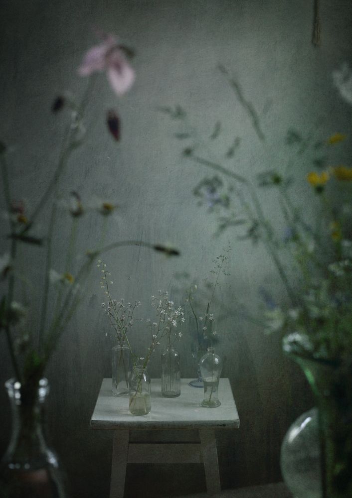 Photograph by Мария Сапего