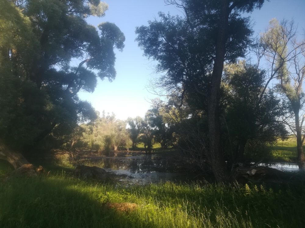 Photo #6230517