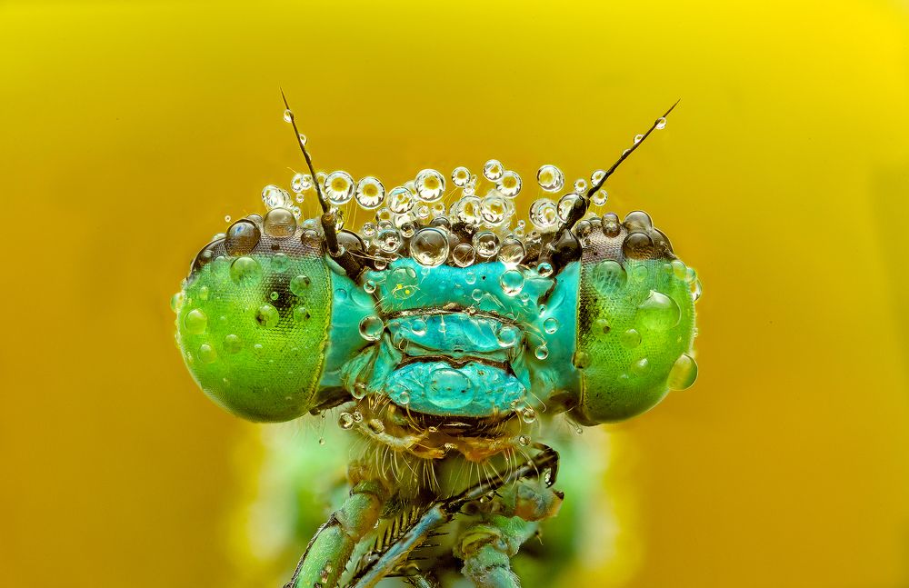 Photograph by Иван Радьков