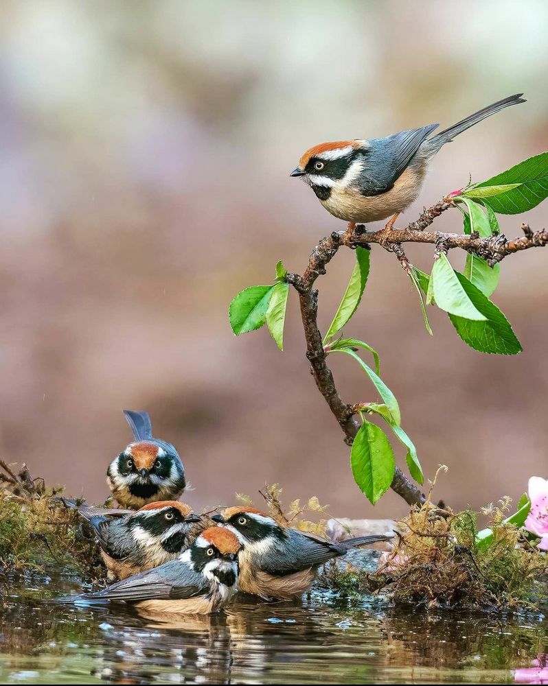 One's Company, Two's Crowd, Three's Party. Whats Five then?