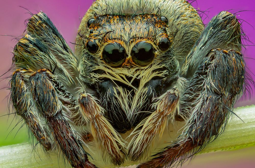 Photograph by Иван Радьков