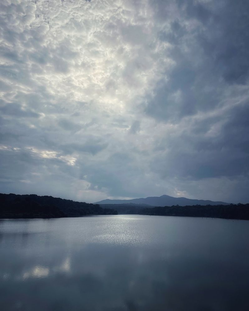 Photograph by Agy Thomas