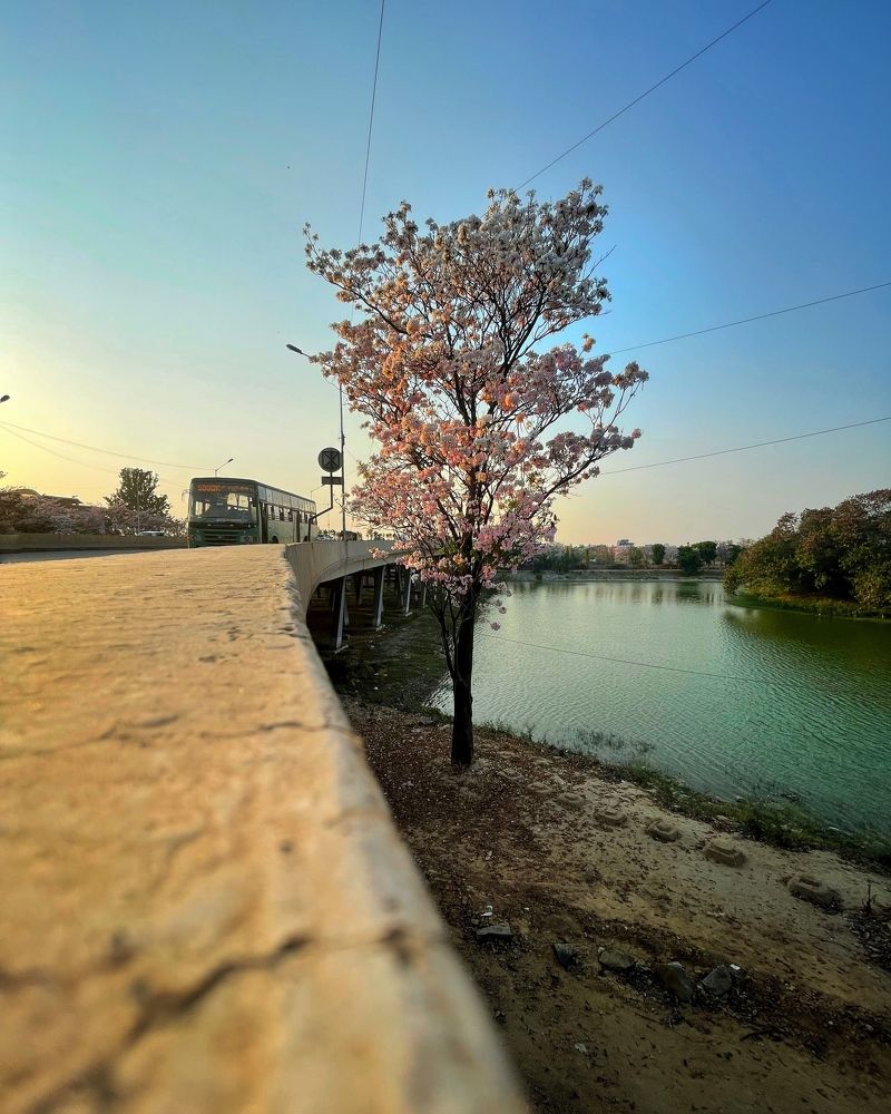 Lake in my city