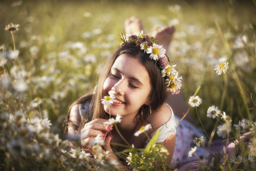 Ромашковое наслаждение