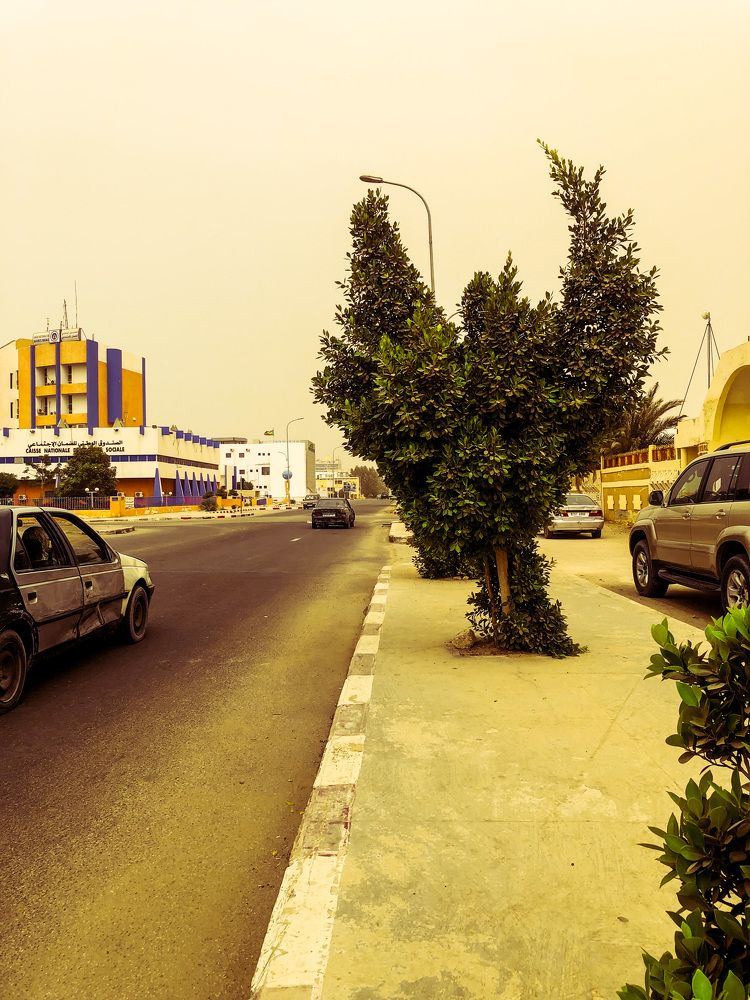 Photograph by Ahmed Salem Yahya