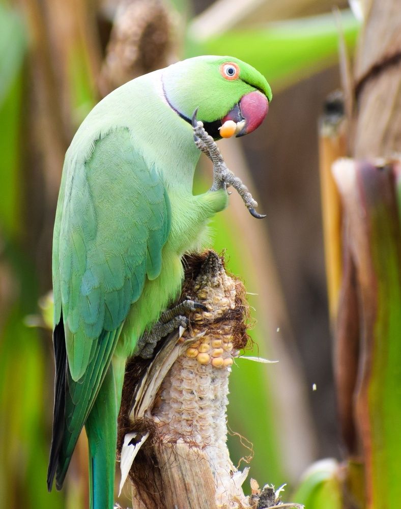 Photograph by Keerthi Hepziba