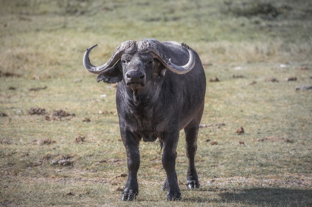 Photograph by Iris Lara