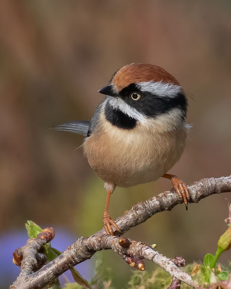 Yeah am Posing... Ka-Ching!!!