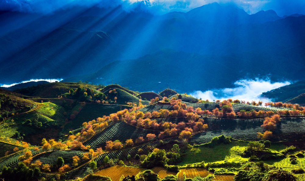 Photograph by TRAN QUY