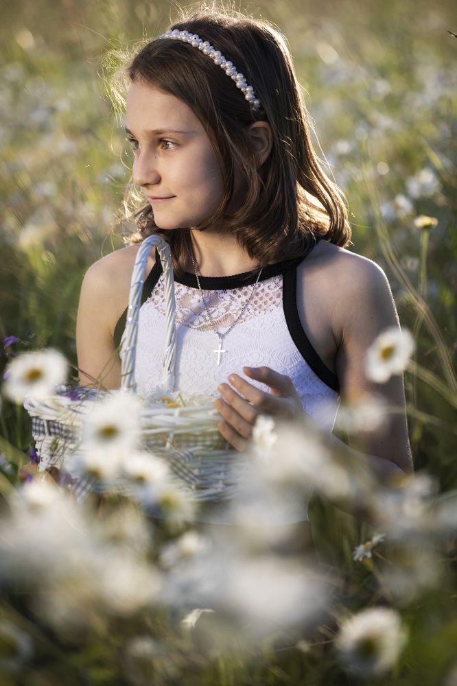 Сказочный мир ромашек