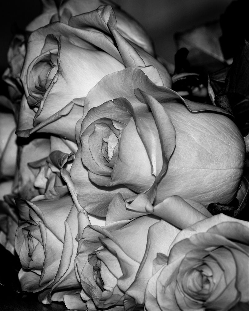 Photograph by Надежда Сабаева