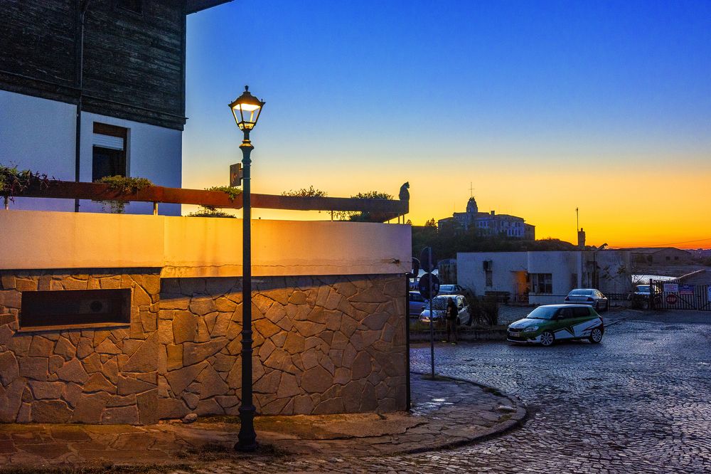 Кошка под фонарем