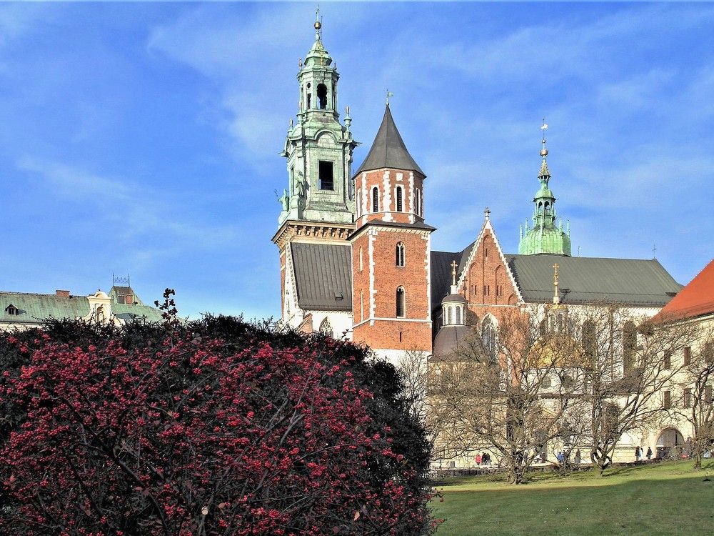 Photograph by Мила Милая