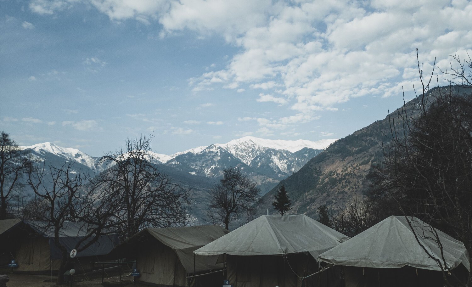 Photo #6231054