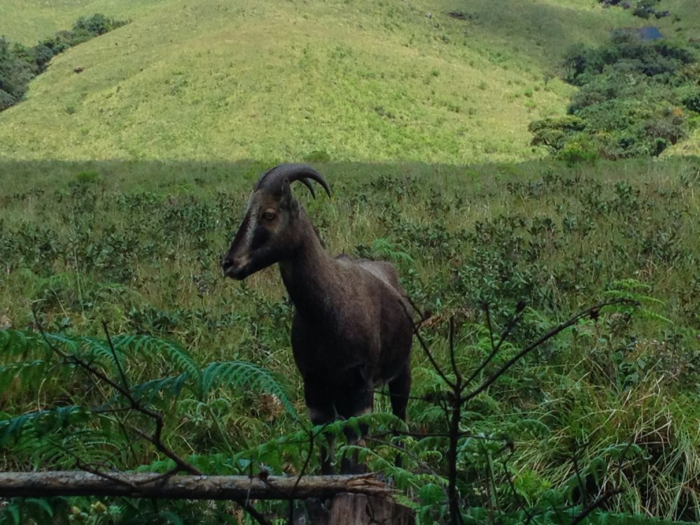 Photograph by Harisankar B