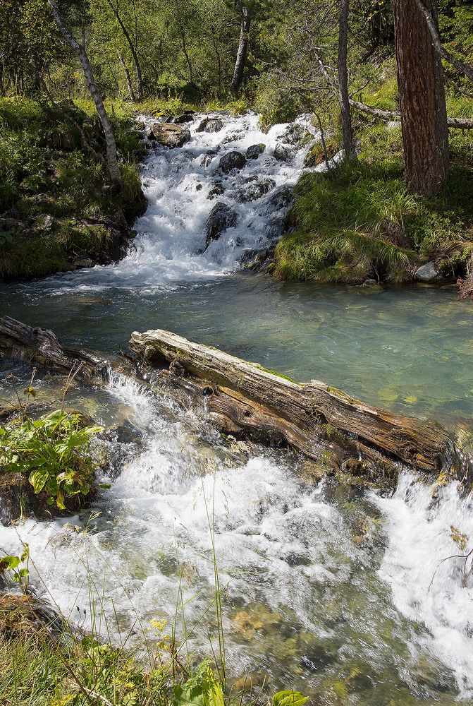 Photograph by Валерий Крачунов