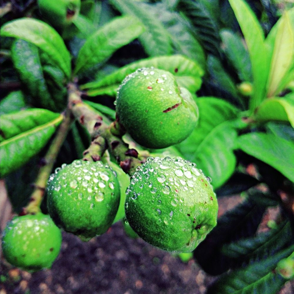 Photograph by Николай Ковальчук