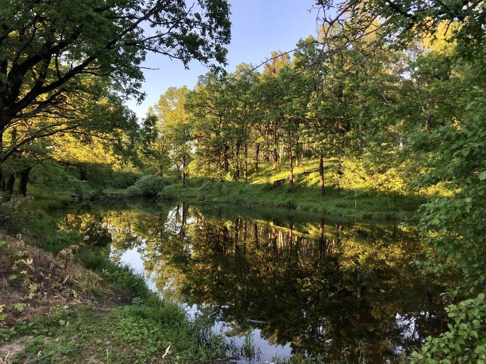 Photograph by Ольга Ильина