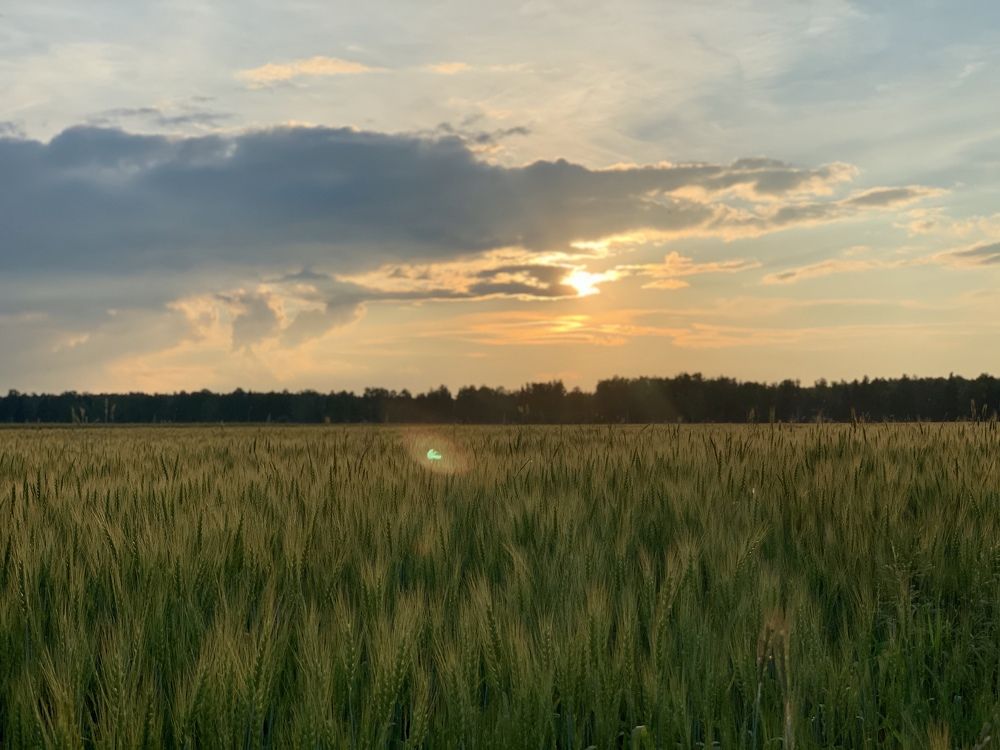 Photograph by Ольга Ильина