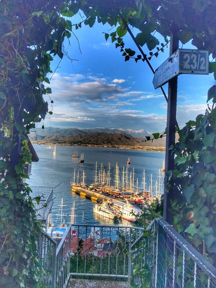 Photograph by Дмитрий БОНДАРЧУК