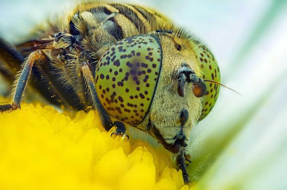 Photograph by Иван Радьков