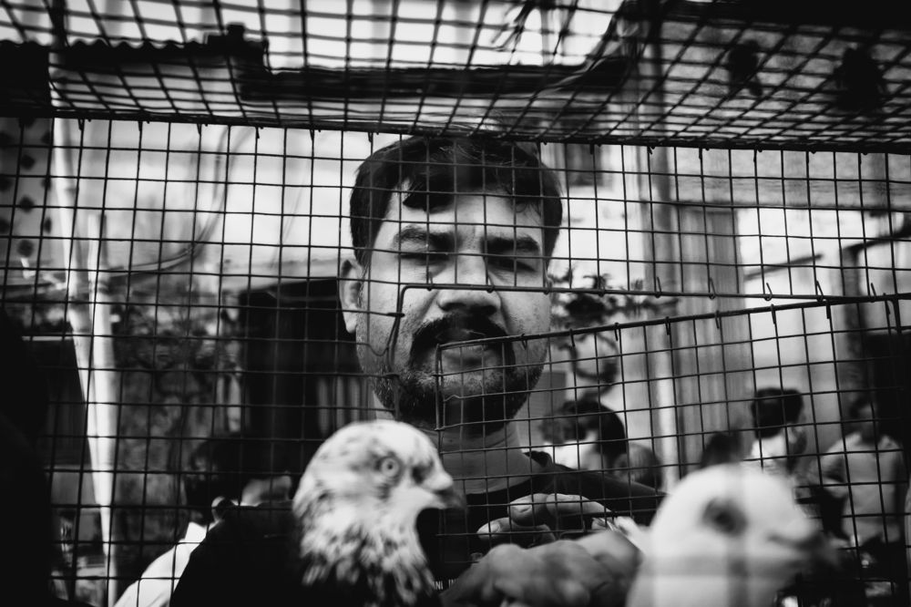 Photograph by Sayak Nag