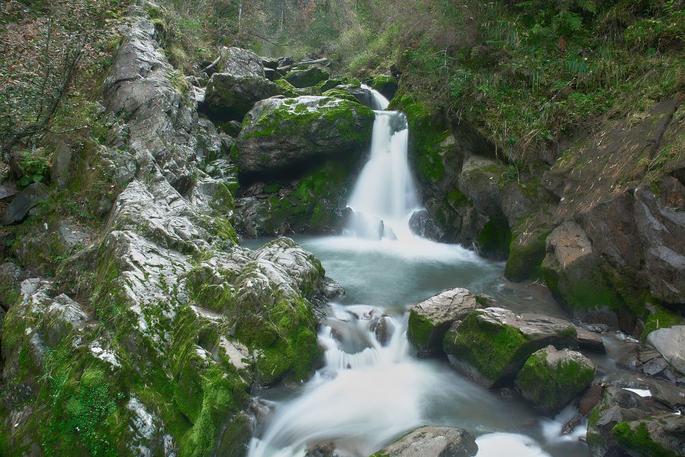 Photograph by Ольга Шибяева