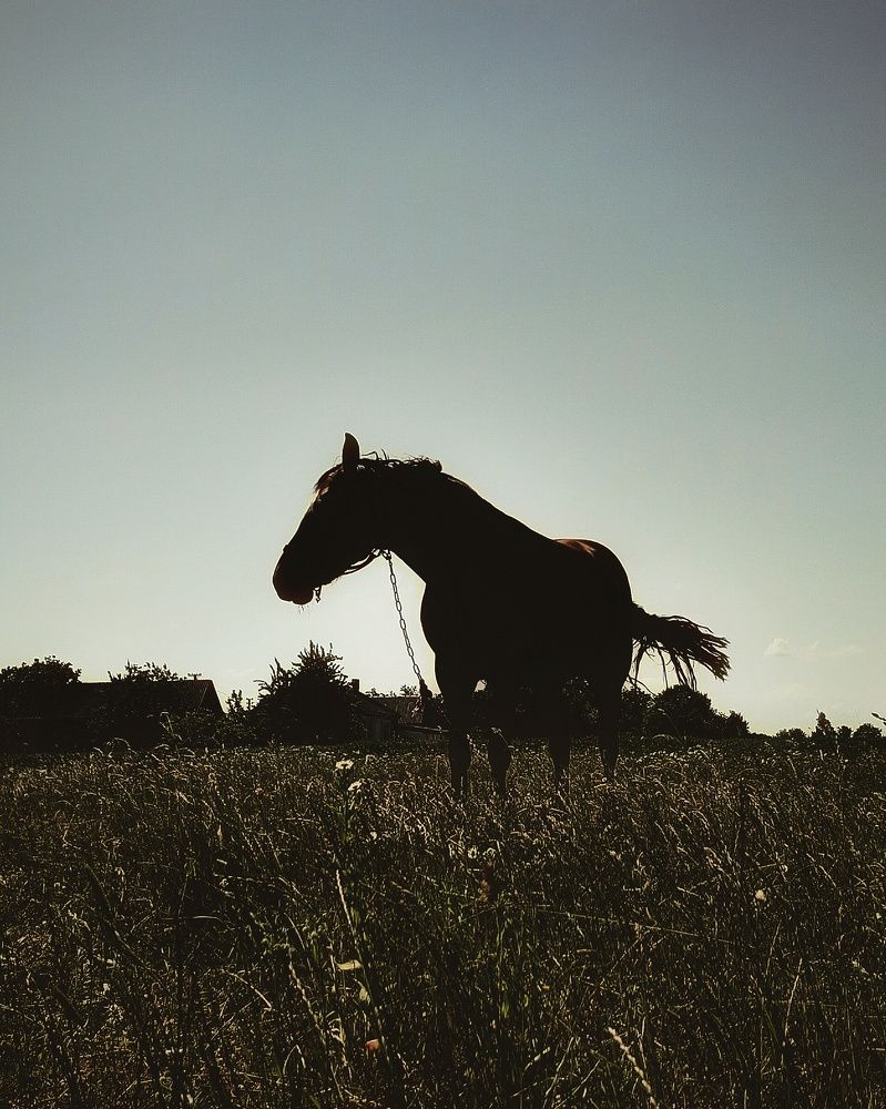 Фотография автора Сергей Побережниченко