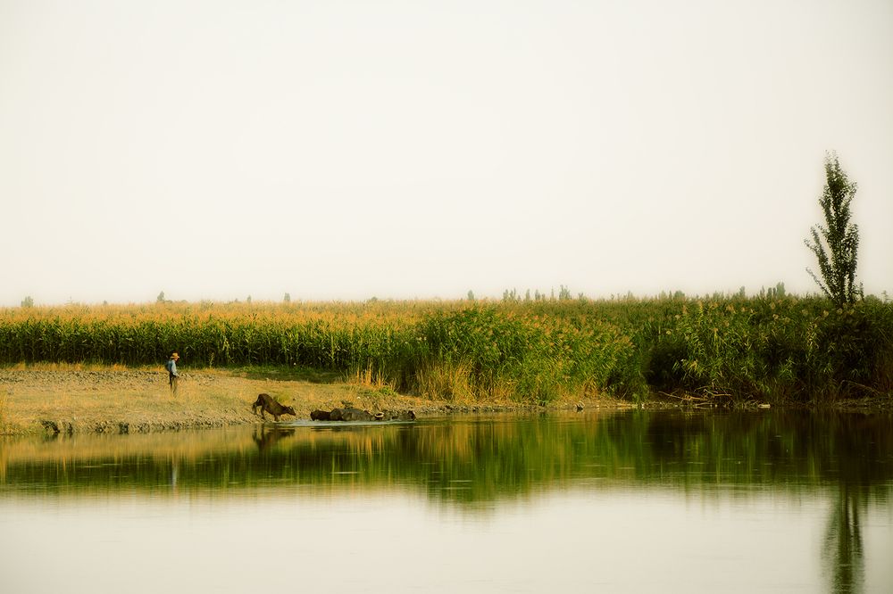 Фотография автора Pourya Darband Yourdshahi