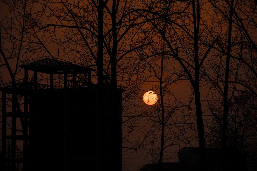 Photograph by reza jafari asl