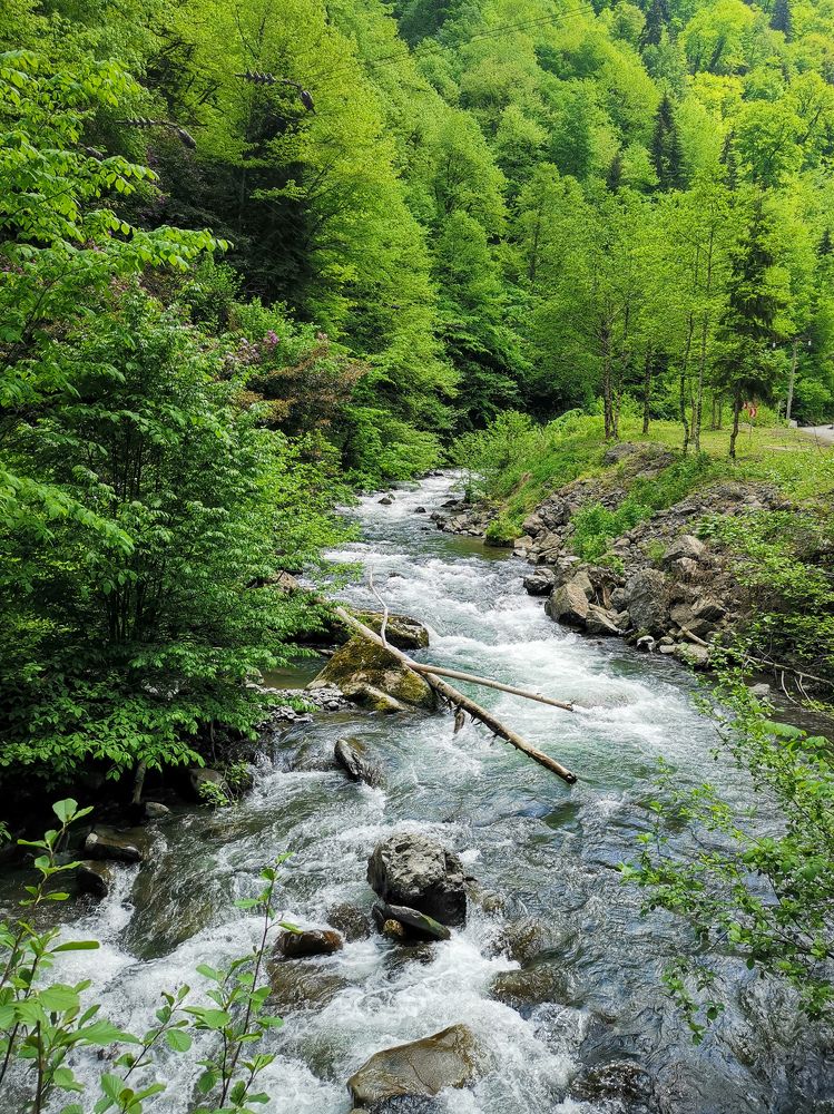 Photograph by Сергей Григорьев