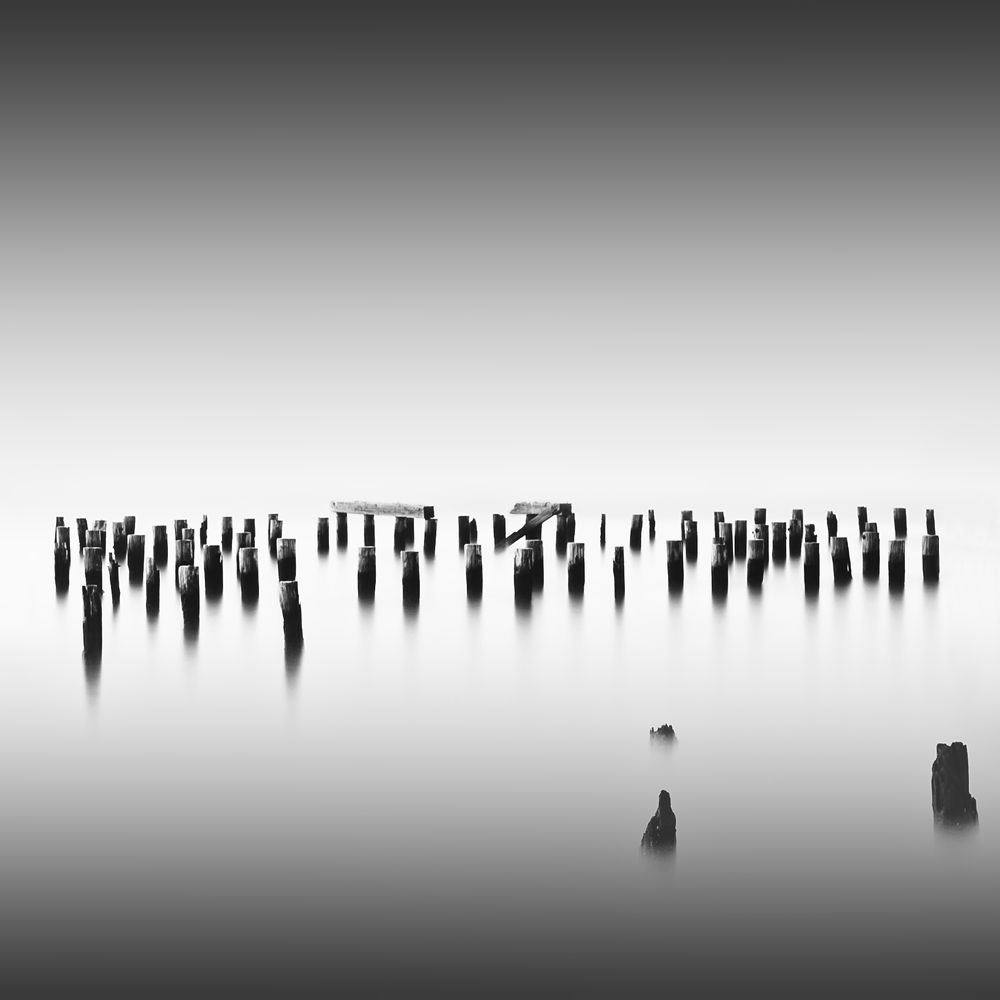 Photograph by Sri Reddy