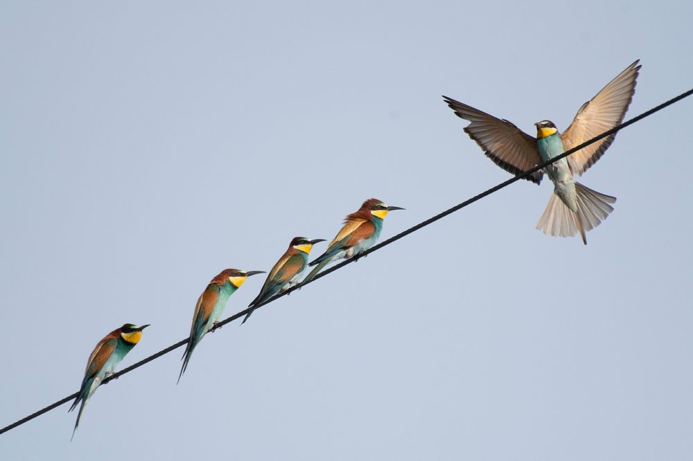 Photograph by ΝΙΚΟΣ ΚΑΜΠΙΑΝΑΚΗΣ