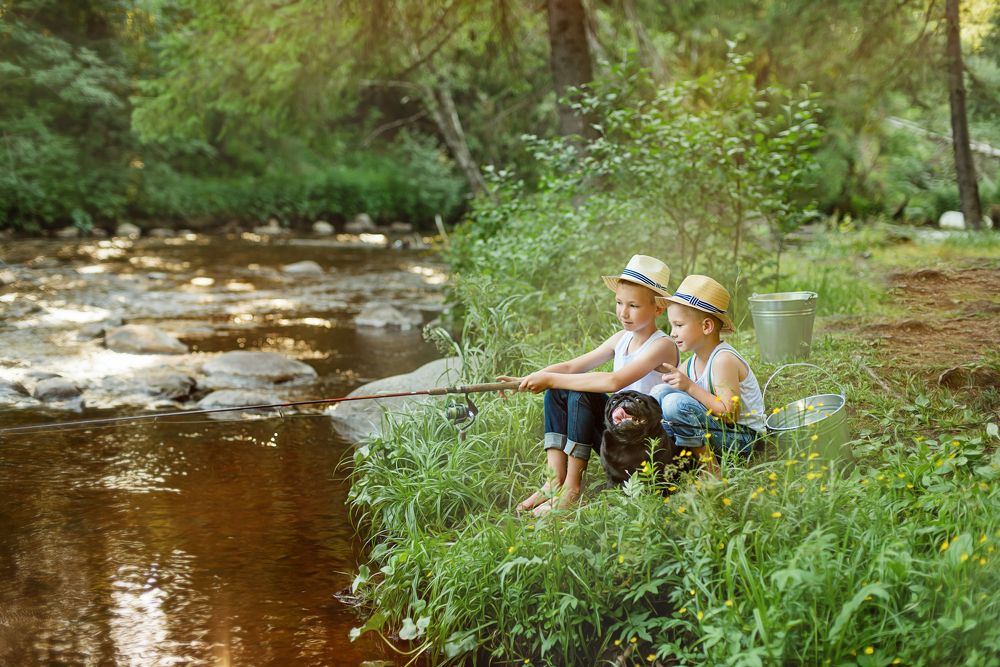 Ловись рыбка!