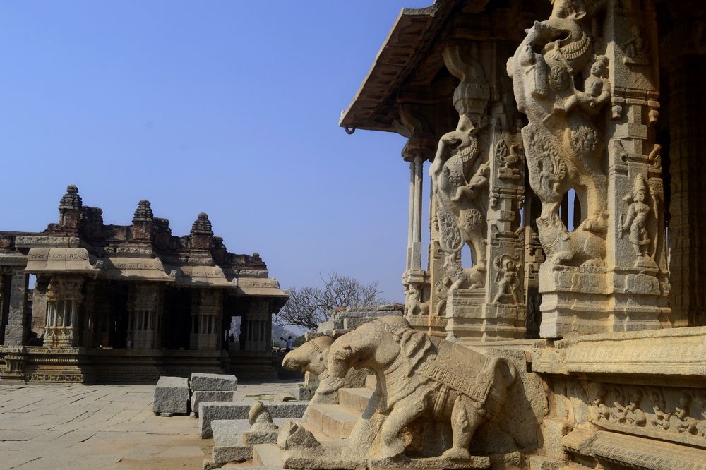 Фотография автора DEBASISH NAG