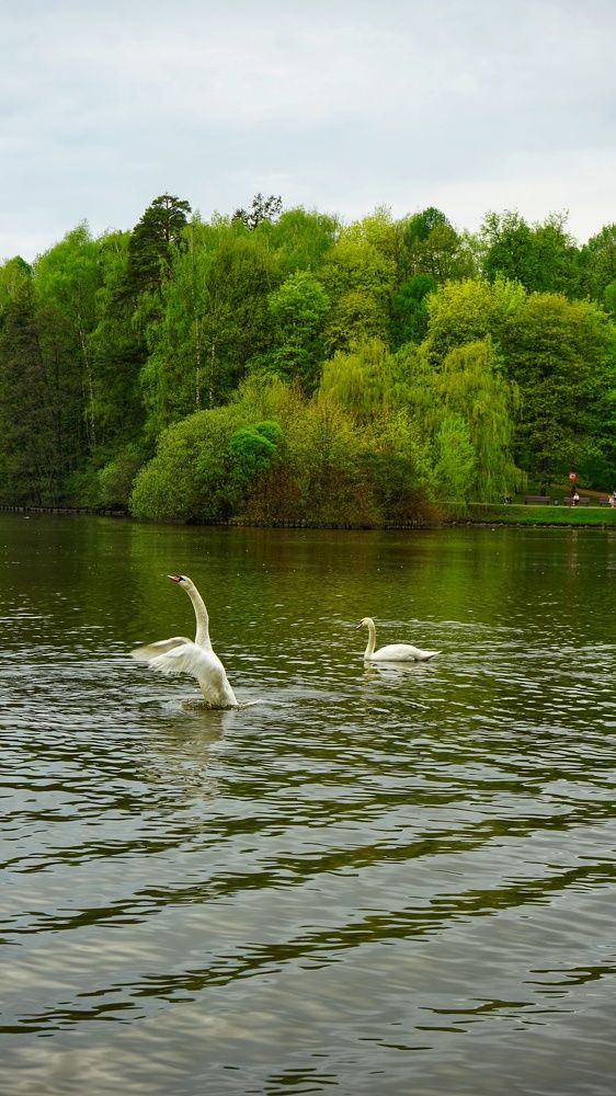 Фотография автора Slim Soyadi