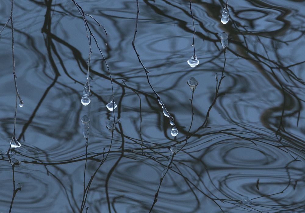 Орнаменты осени