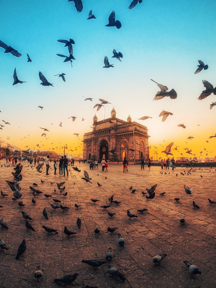 Photograph by Vijay Dongale VD