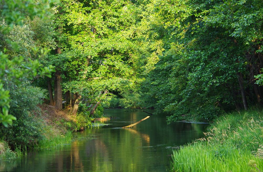 Photograph by Диана Бородзе