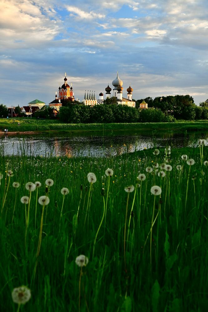 Одуванчики.