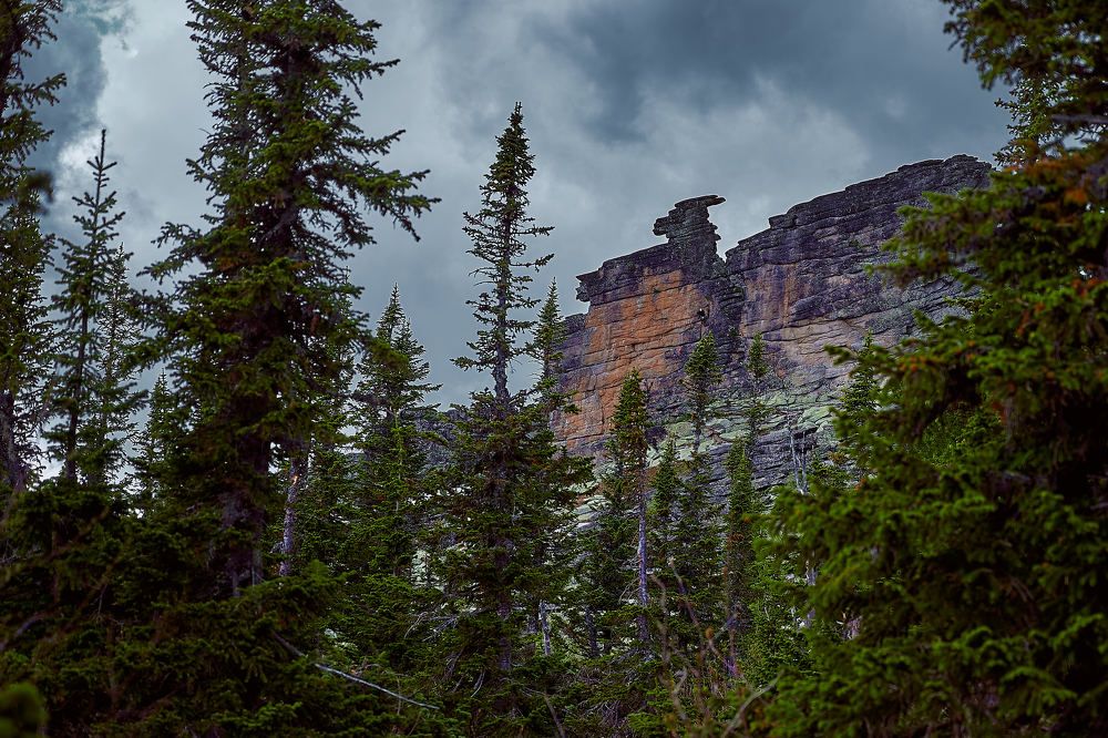 Photograph by Владимир Малевич