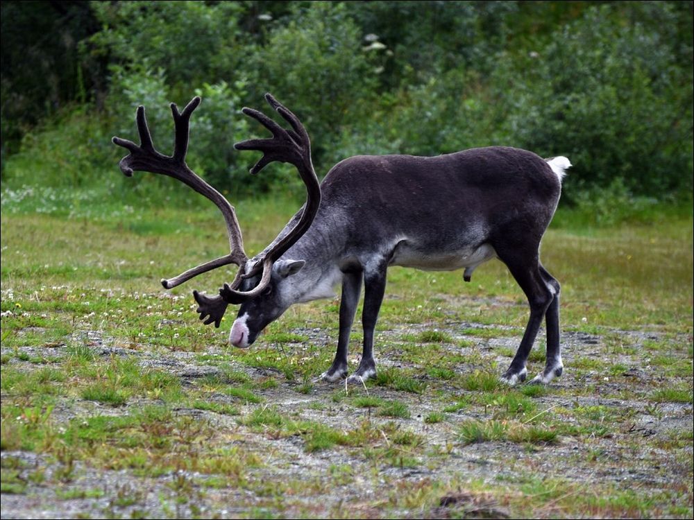 Photograph by Крицак Ольга