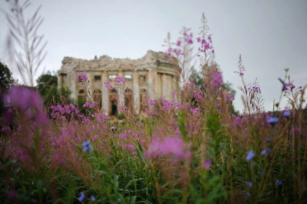 Photograph by Михаил