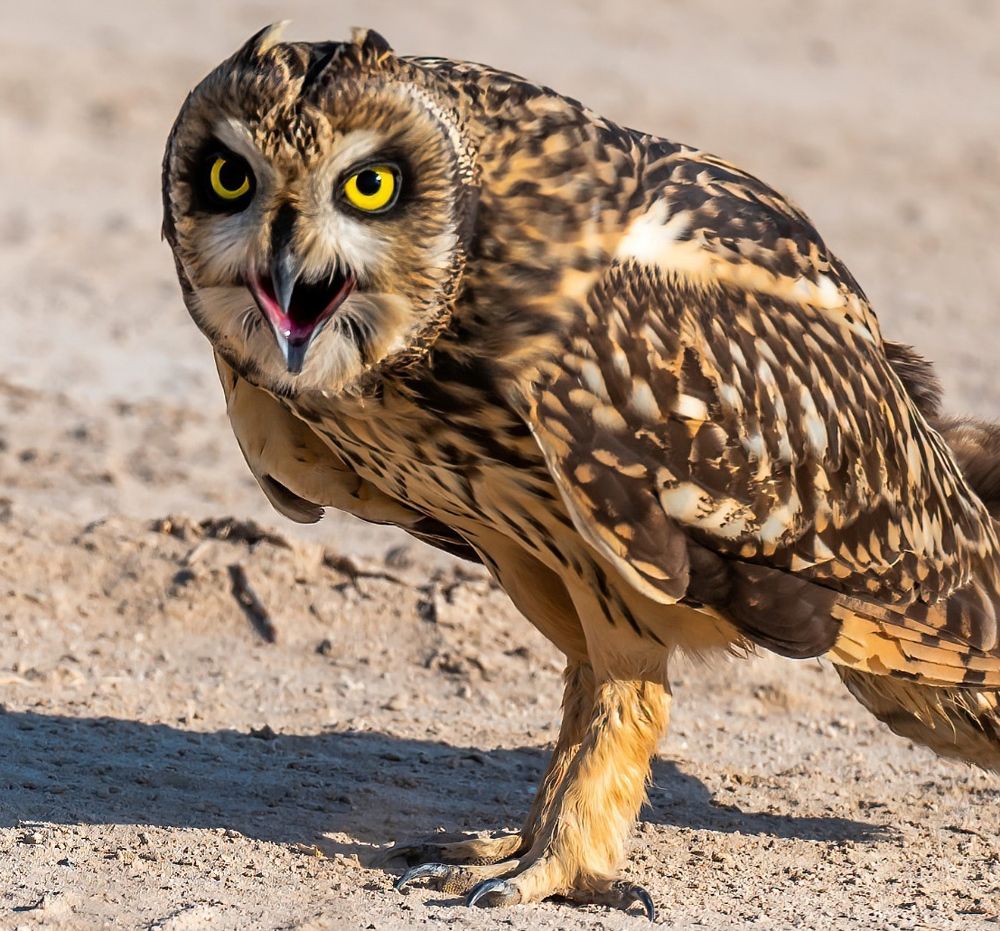 Photograph by Sudhir Raj