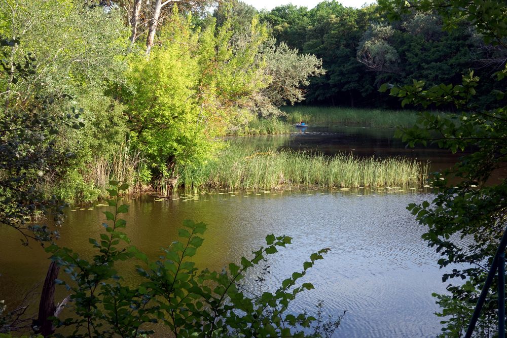 Photograph by Tatiana Glazkova