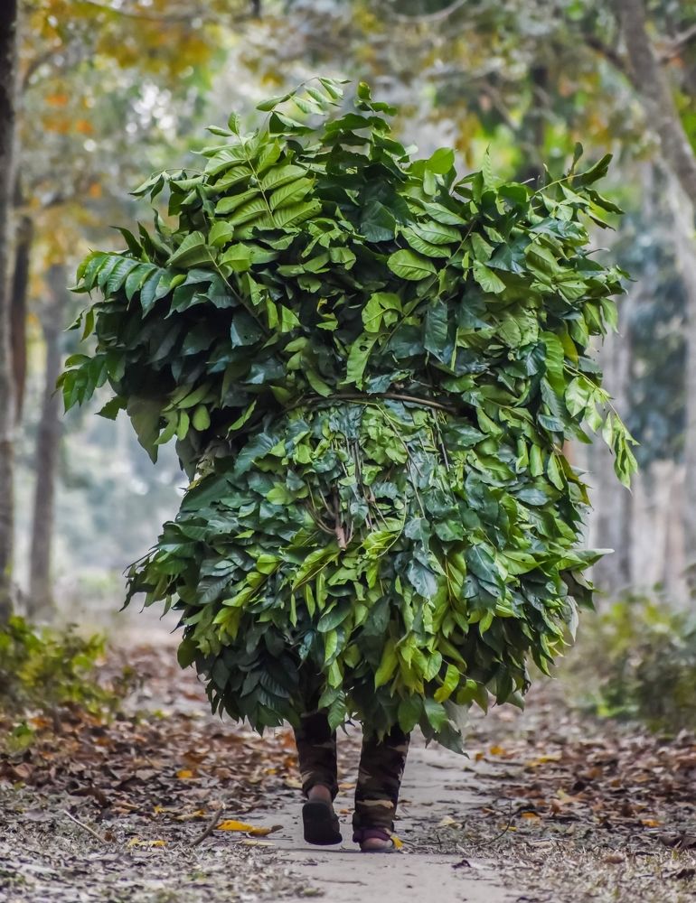 Camouflage