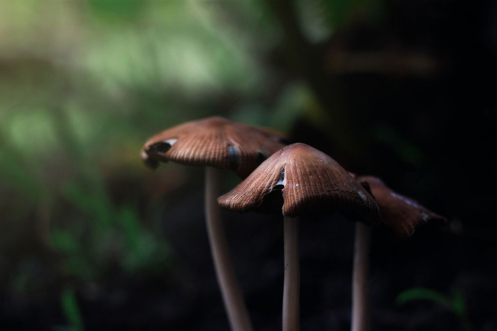 Photograph by Евгения Кинжакова