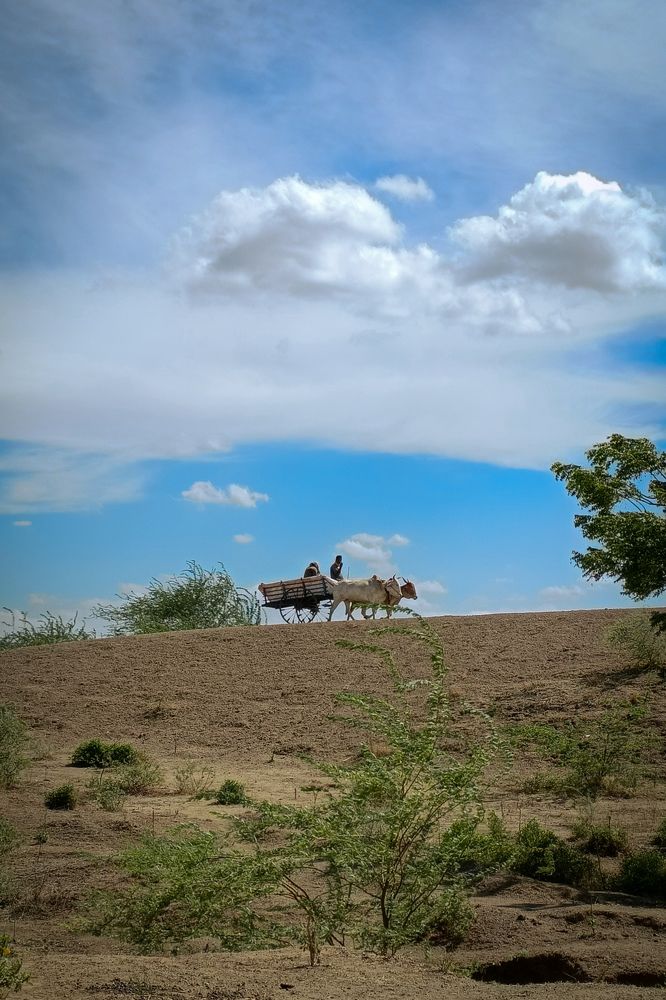 Photograph by Parikshit Rekhe