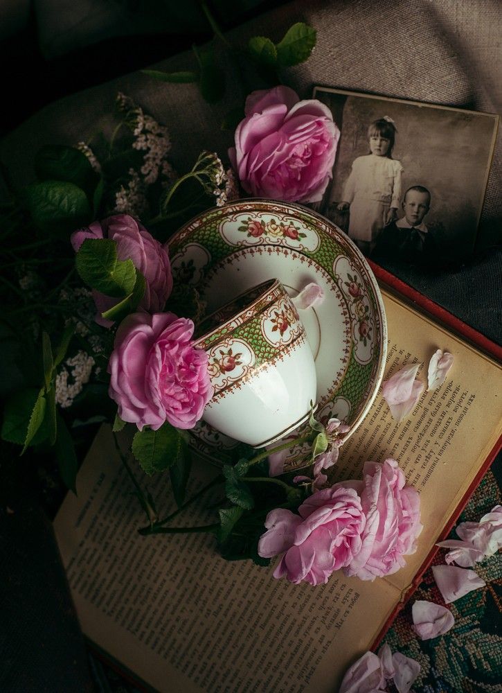 Photograph by Сафронова Любовь